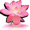 frog108qq.com