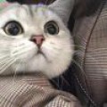 眼泪不代表懦弱°