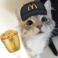 噷