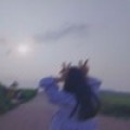 貳拾