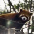 是风动