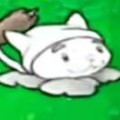 魔法猫咪，稳辣
